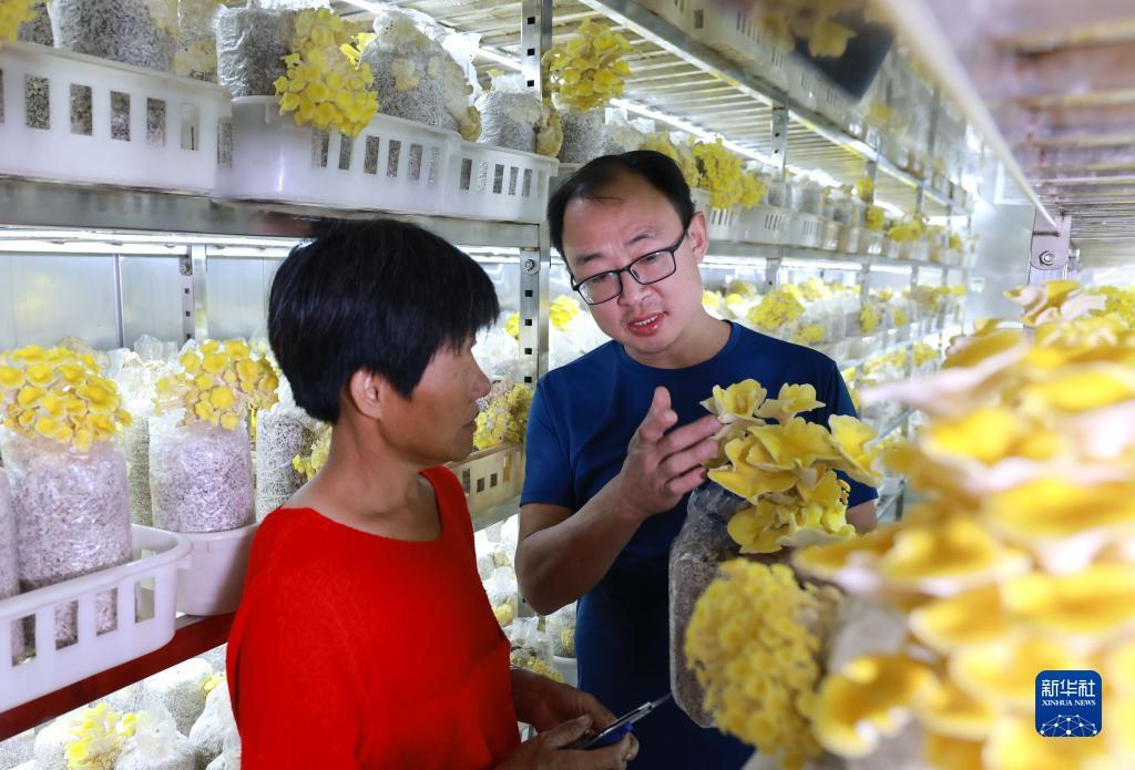 澳门百老汇